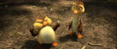 赶鸭子视频动画片国产,赶鸭子动画片的文化传承与创新  第1张